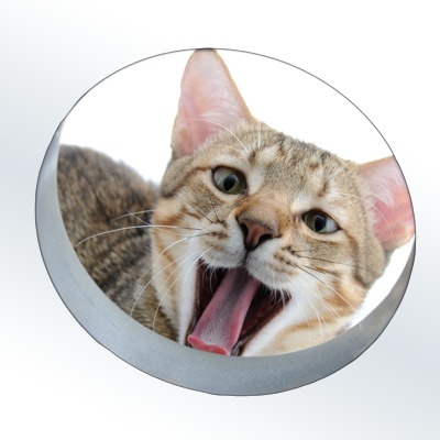 Tiernahrung - Katze an Napf