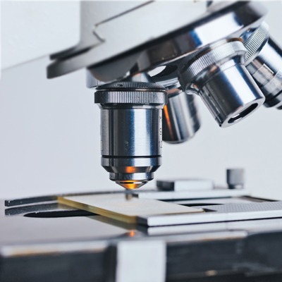Pharmazeutische Entwicklung - Mikroskop